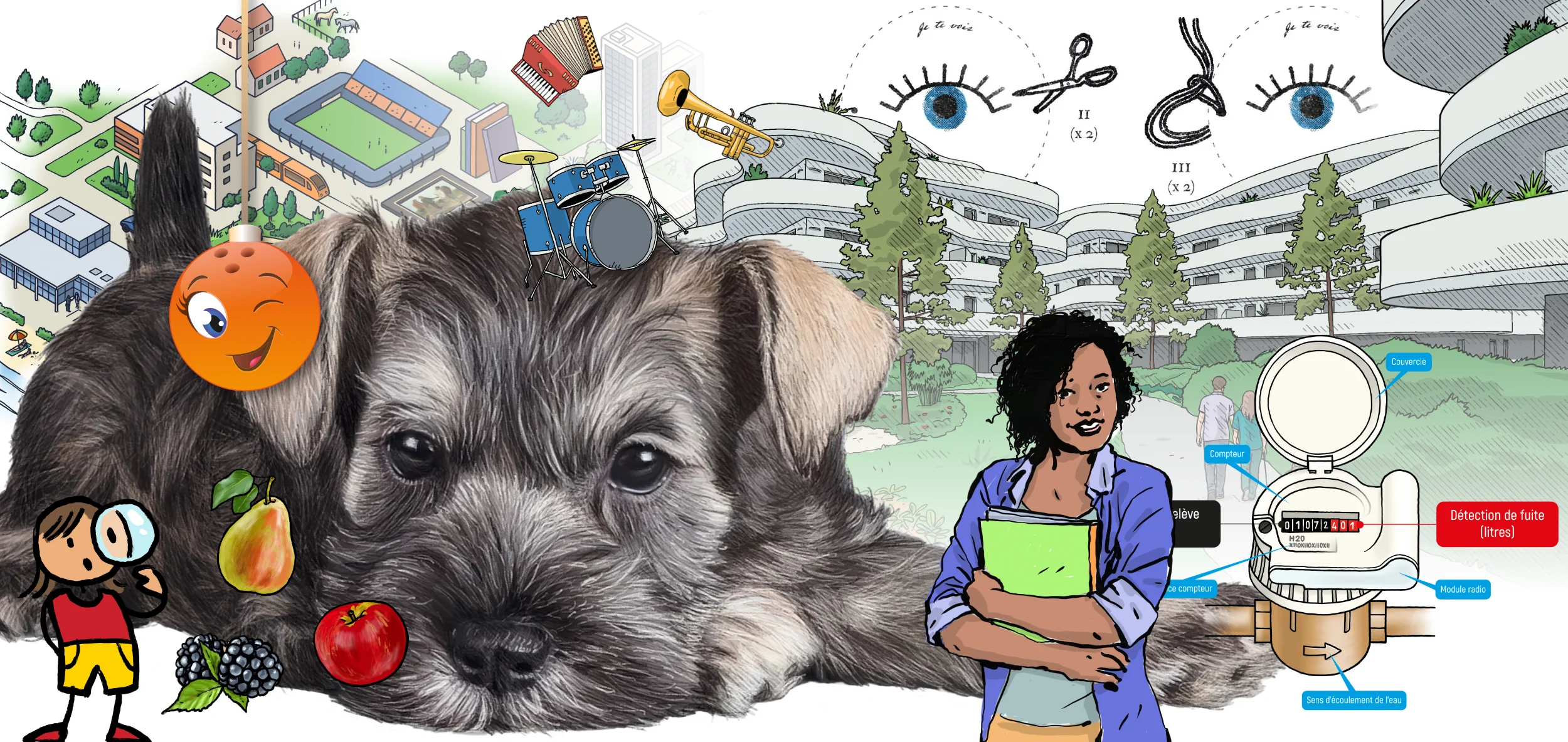 Guillaume Dethorey, dessinateur illustrateur à Montpellier