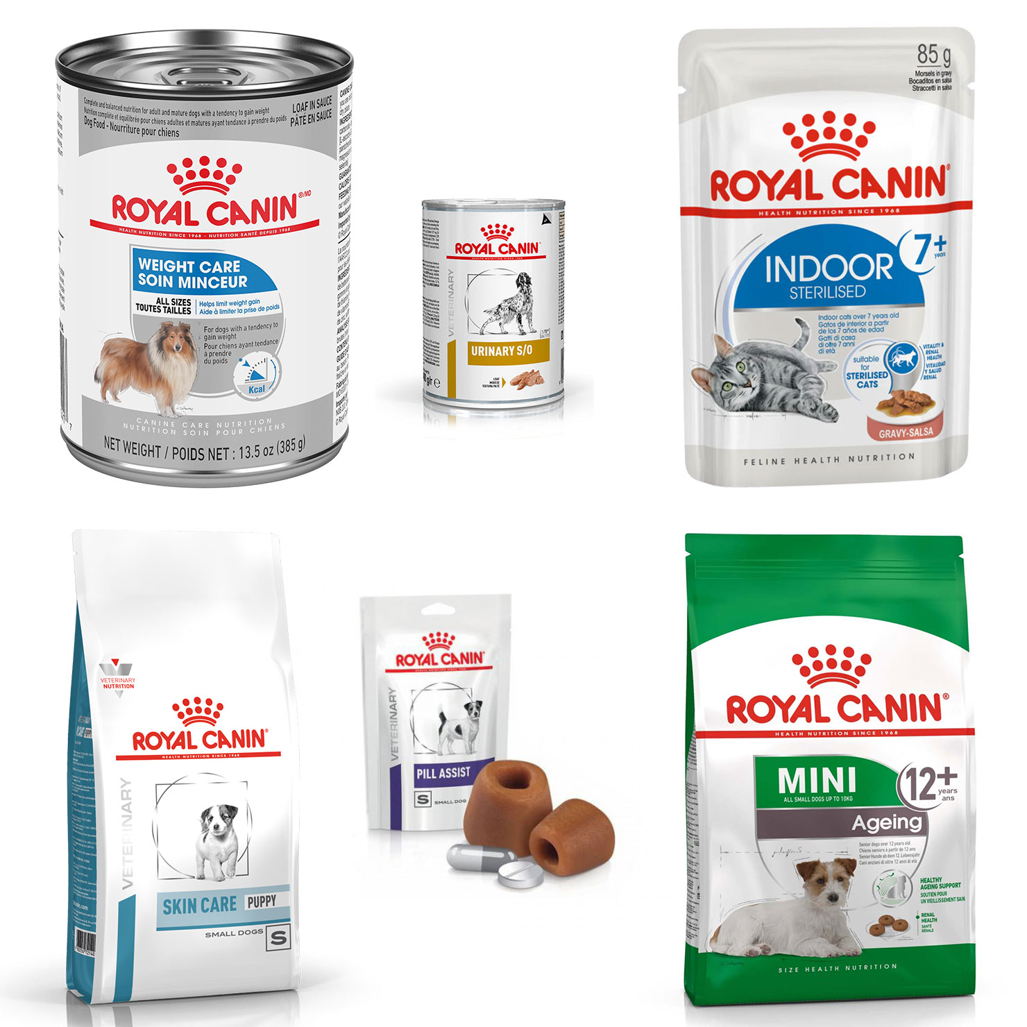 Illustration hyperréaliste pour packaging - Avec Carré Noir pour Royal Canin