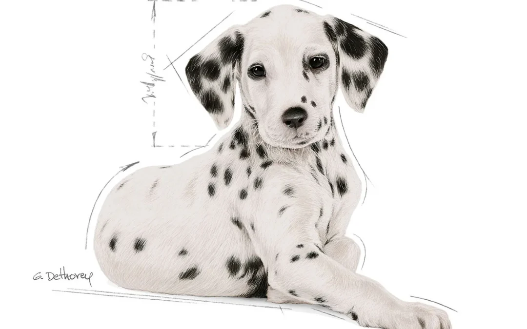 Royal Canin