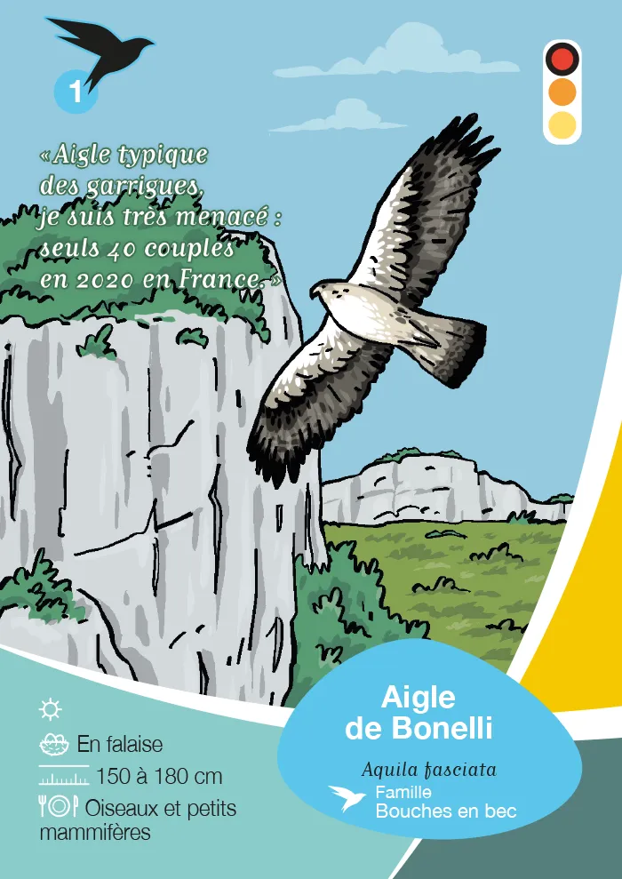 Jeu de carte Natura 2000 pour la communauté de communes Vallée de l'Hérault