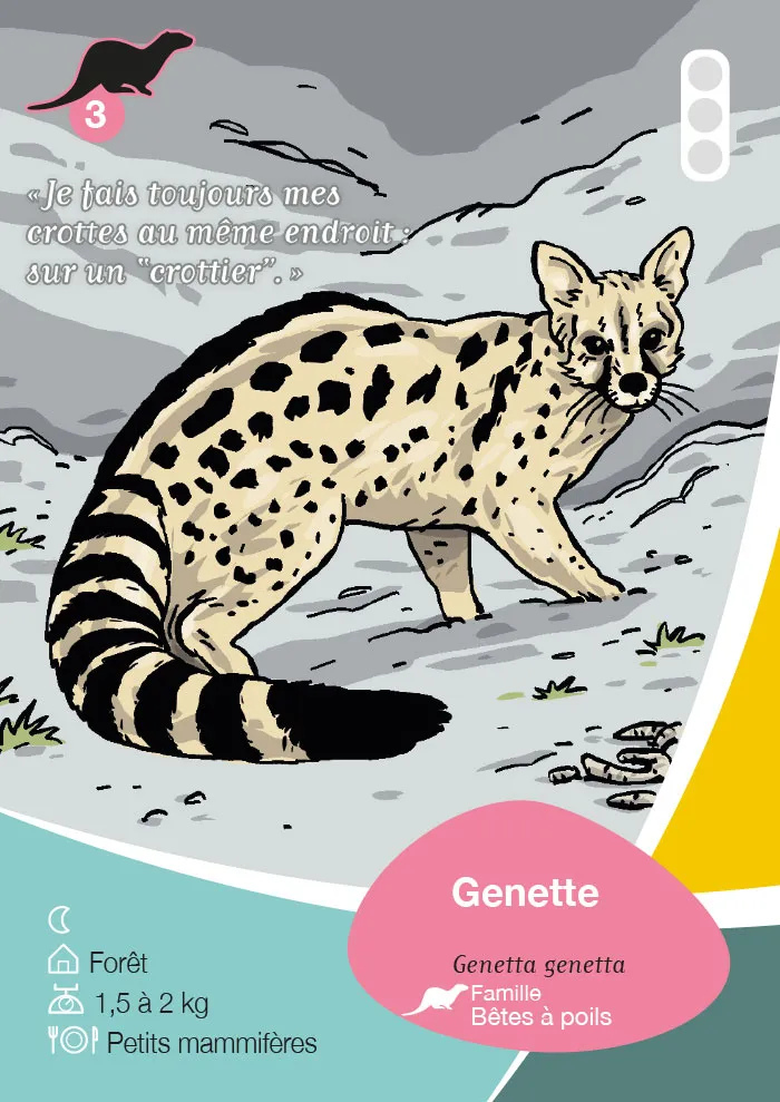 Jeu de carte Natura 2000 pour la communauté de communes Vallée de l'Hérault