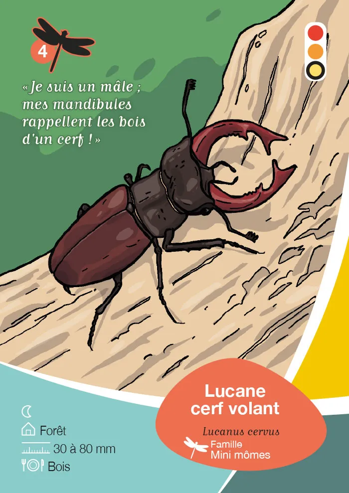Jeu de carte Natura 2000 pour la communauté de communes Vallée de l'Hérault