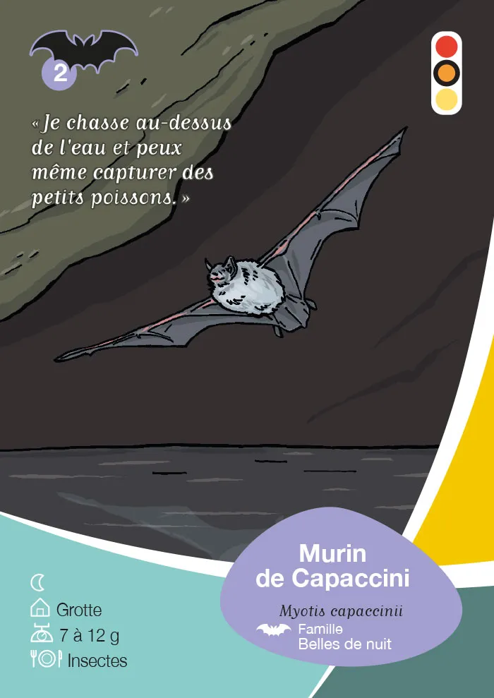 Jeu de carte Natura 2000 pour la communauté de communes Vallée de l'Hérault