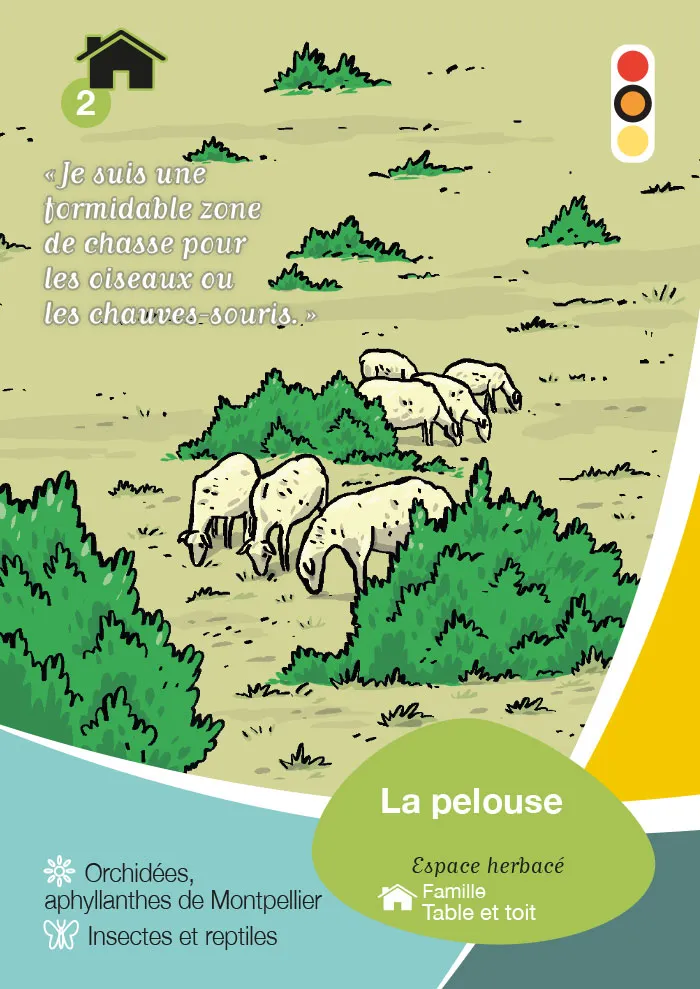 Jeu de carte Natura 2000 pour la communauté de communes Vallée de l'Hérault