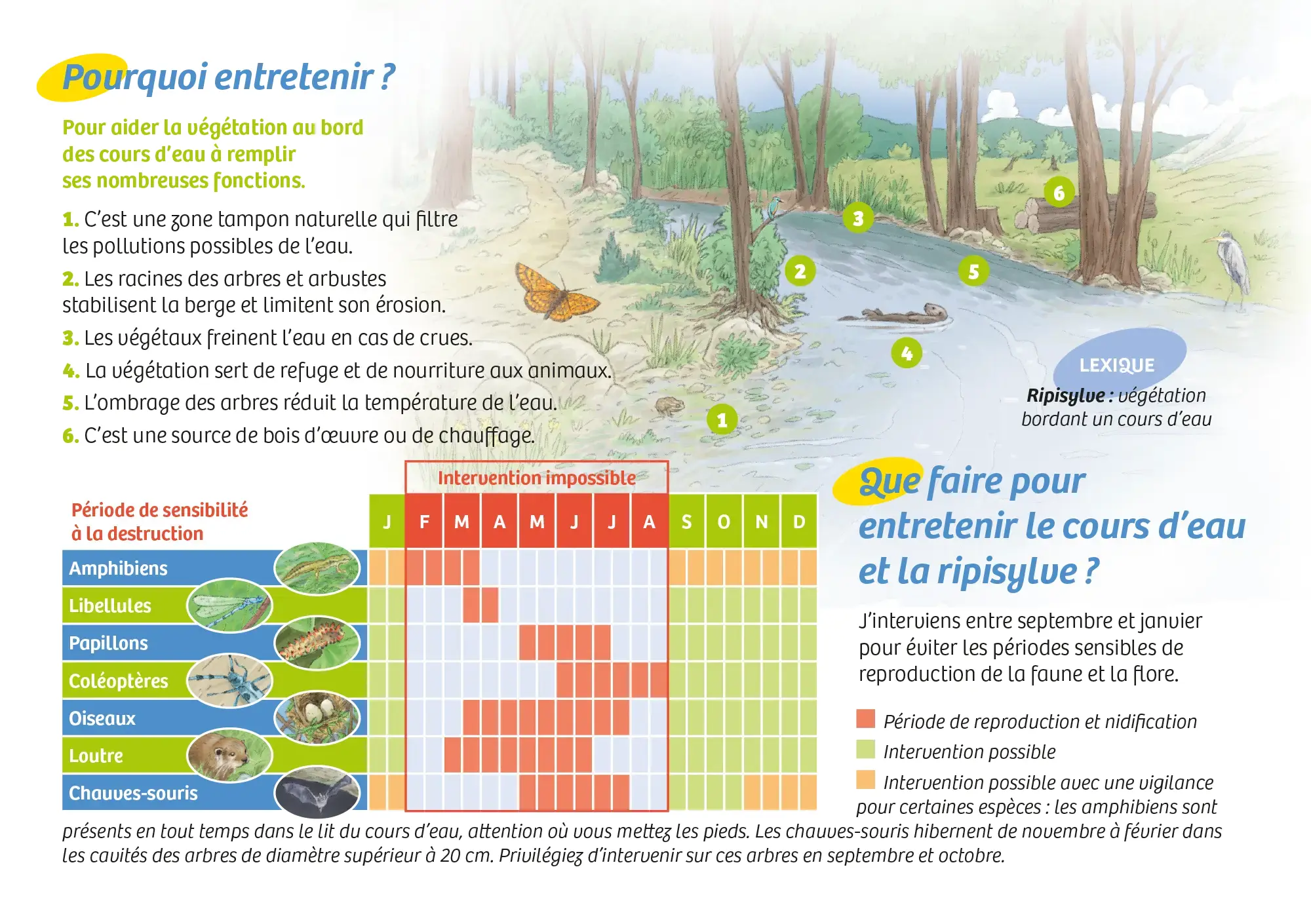 Illustration et mise en page d'une brochure pour la communauté de communes Vallée de l'Hérault