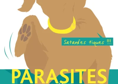 Illustrations vectorielles pour des affiches, des vitrines et de la PLV pour un GIE de pharmacies.