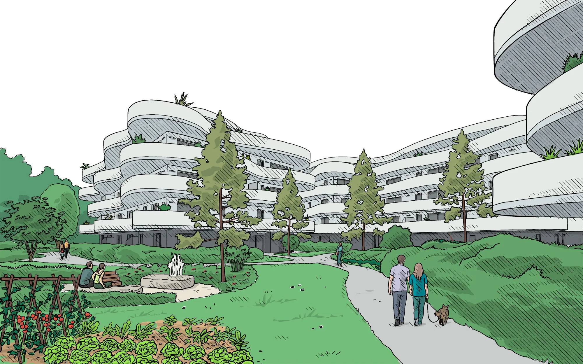 Illustrations vectorielles pour un programme immobilier