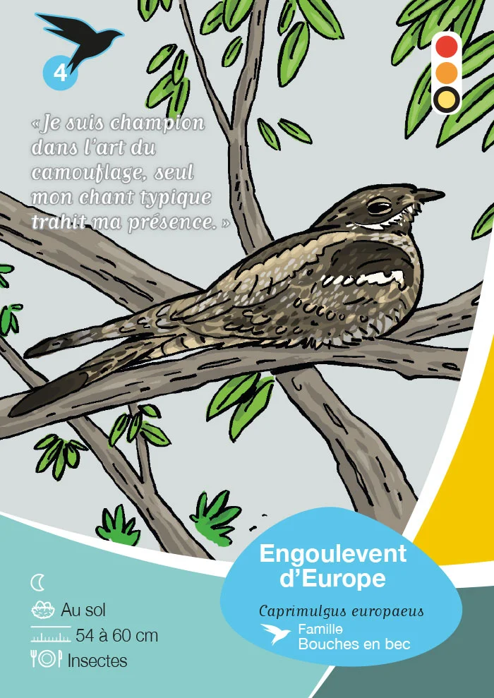 Jeu de carte Natura 2000 pour la communauté de communes Vallée de l'Hérault