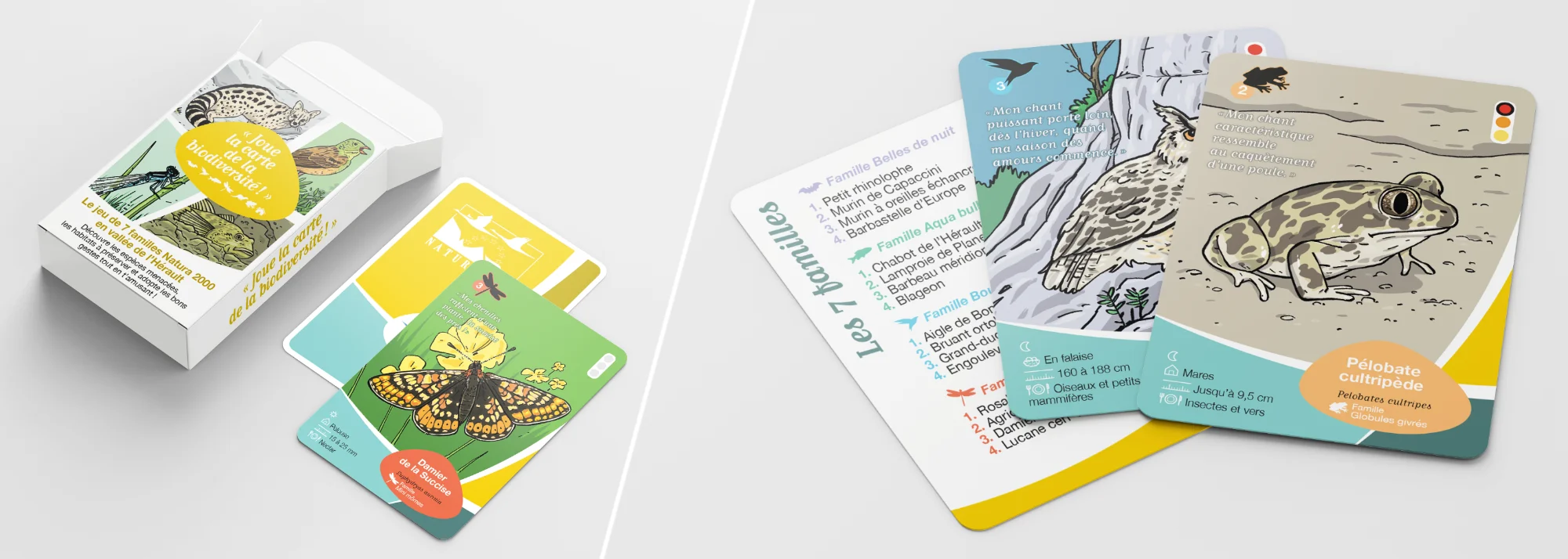 Jeu de carte Natura 2000 pour la communauté de communes Vallée de l'Hérault
