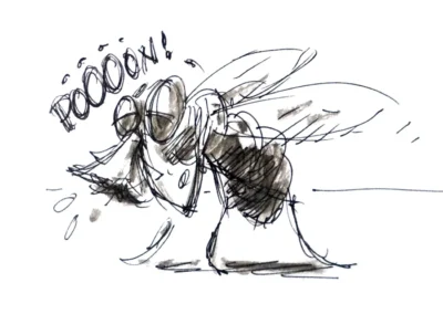 Mouche qui se mouche
