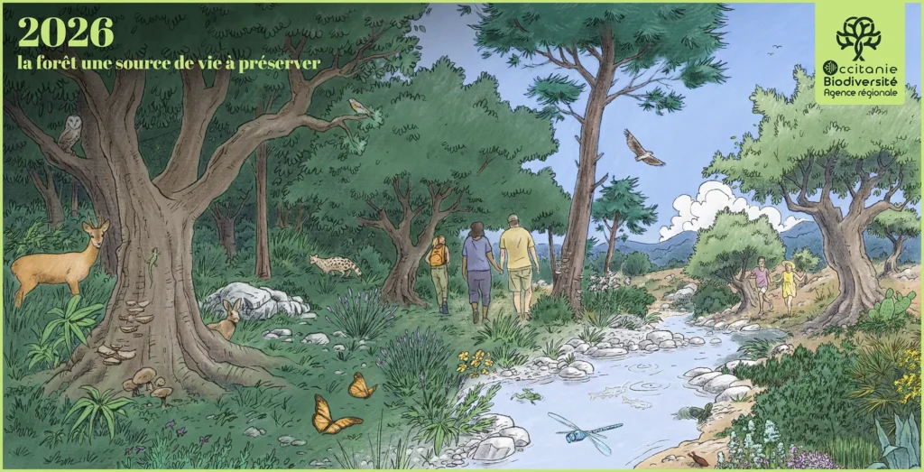 Occitanie Biodiversité - Vœux 2026 Agence régionale de la biodiversité Occitanie - Carte de vœux 2026